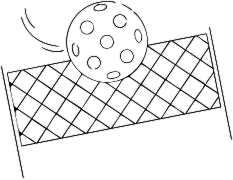 ball with net